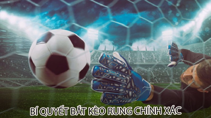 Bí quyết bắt kèo rung chính xác