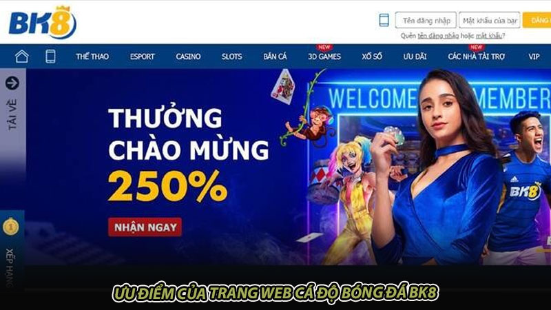 Ưu điểm của trang web cá độ bóng đá BK8